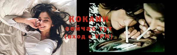 мяу мяу мука Баксан