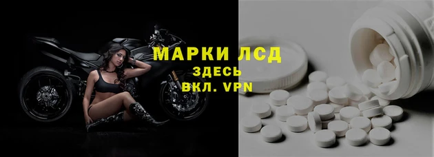 мяу мяу мука Баксан
