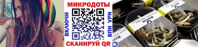 как найти наркотики  Белая Холуница  Галлюциногенные грибы ЛСД 